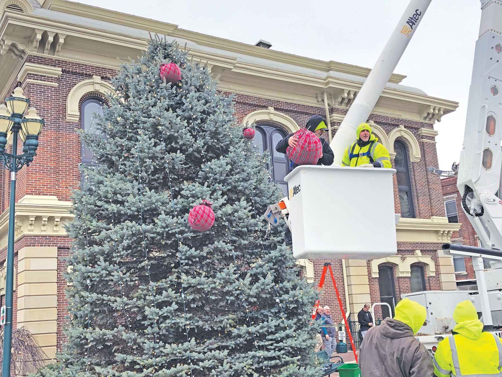 Trimming the tree